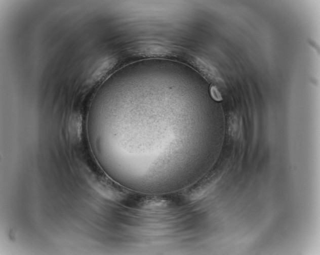 X0000095890206200801111202
