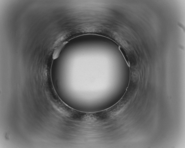 X0000095890207200801111202