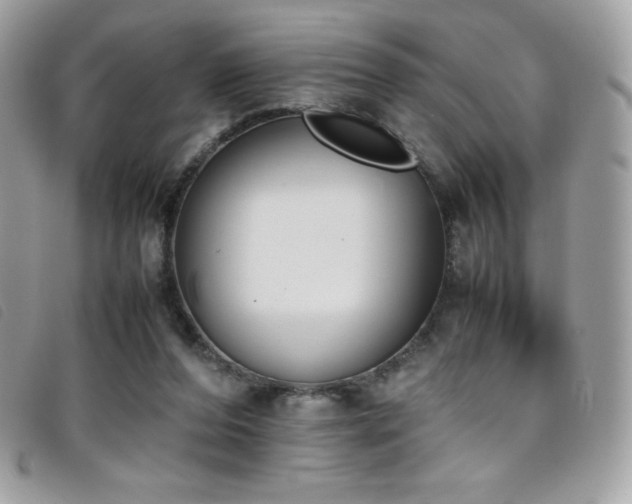 X0000095890208200801111202