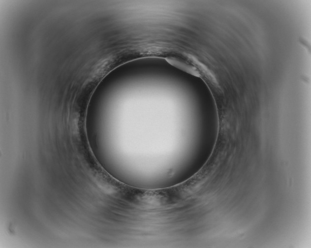 X0000095890209200801111202