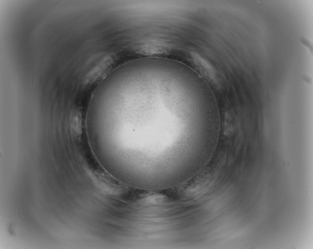 X0000095890210200801111202