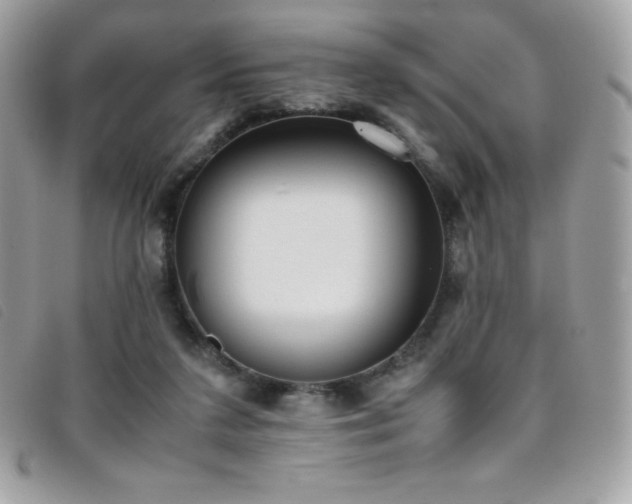 X0000095890211200801111202
