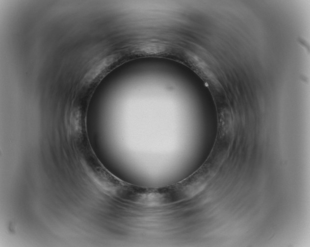 X0000095890212200801111202