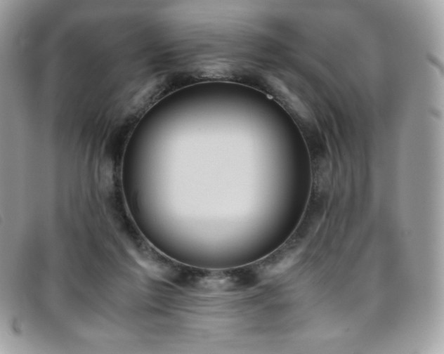 X0000095890213200801111202