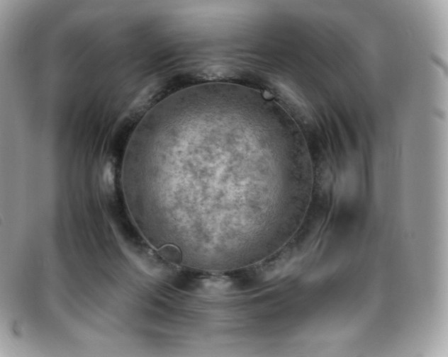 X0000095890214200801111202