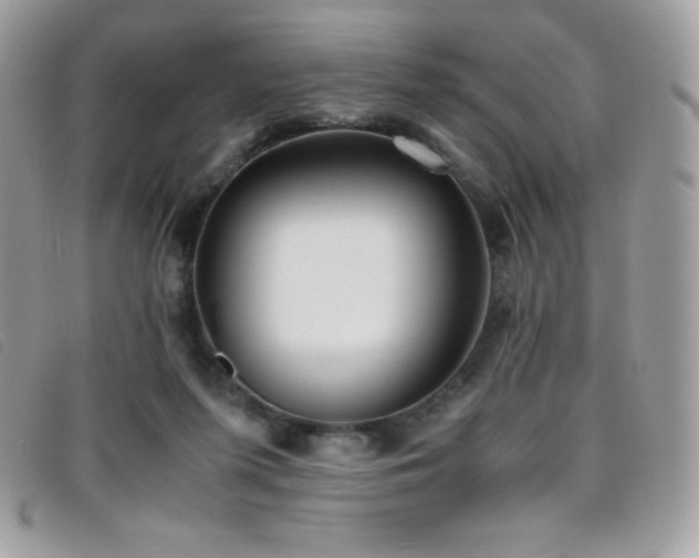 X0000095890215200801111202