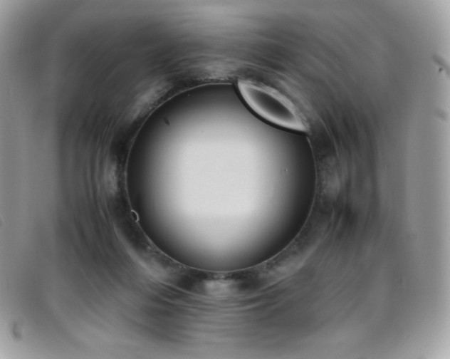 X0000095890216200801111202