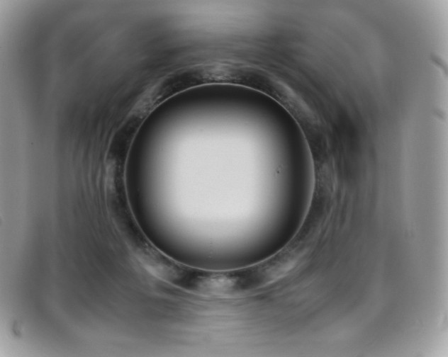 X0000095890217200801111202