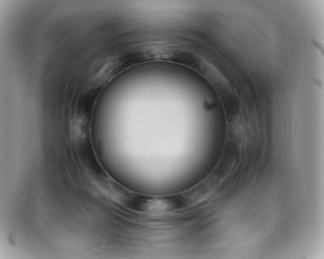 X0000095890218200801111202