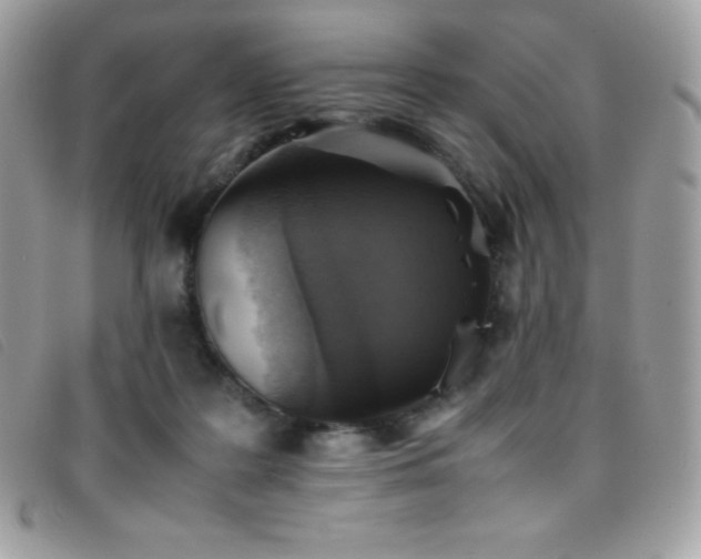 X0000095890219200801111202