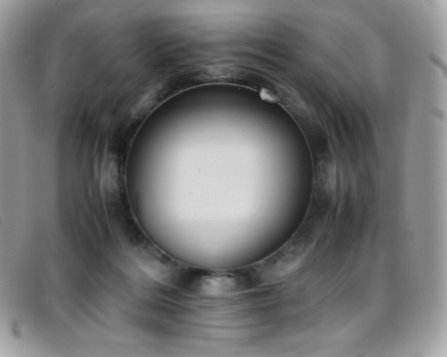 X0000095890220200801111202