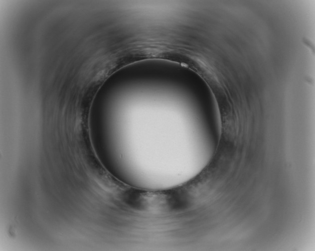 X0000095890221200801111202