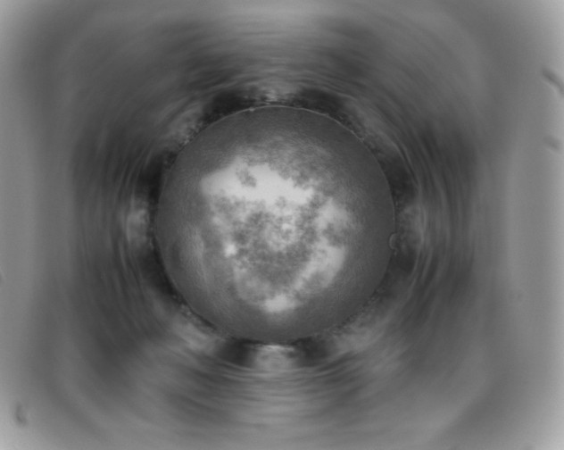 X0000095890222200801111202