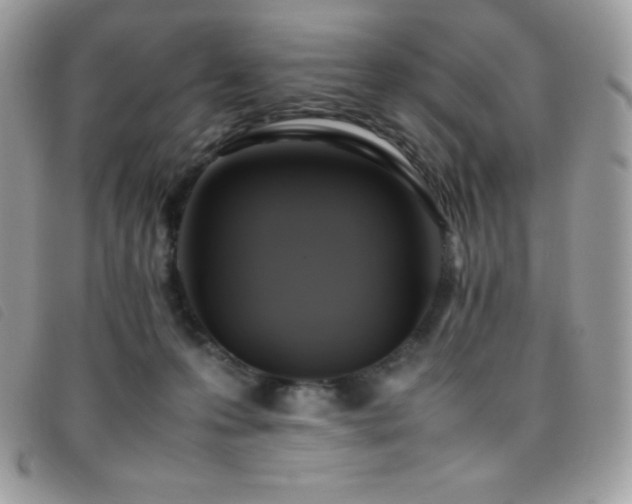 X0000095890223200801111202