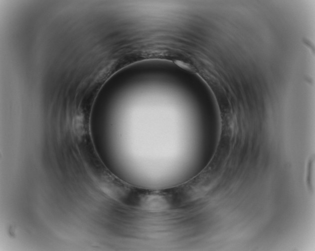 X0000095890224200801111202