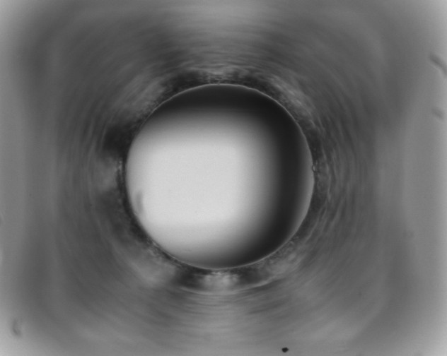 X0000095890225200801111202