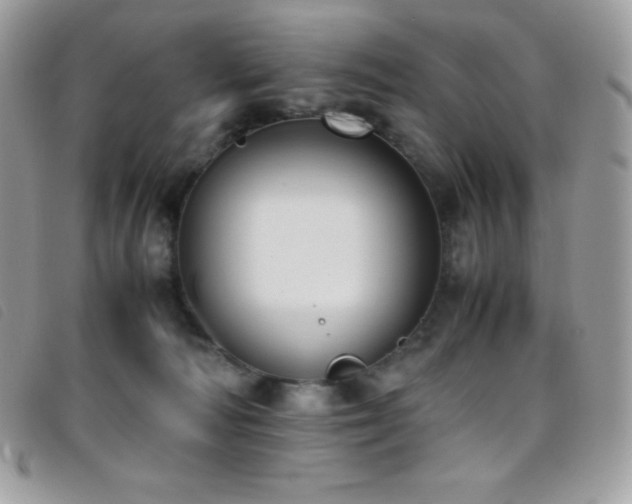 X0000095890226200801111202