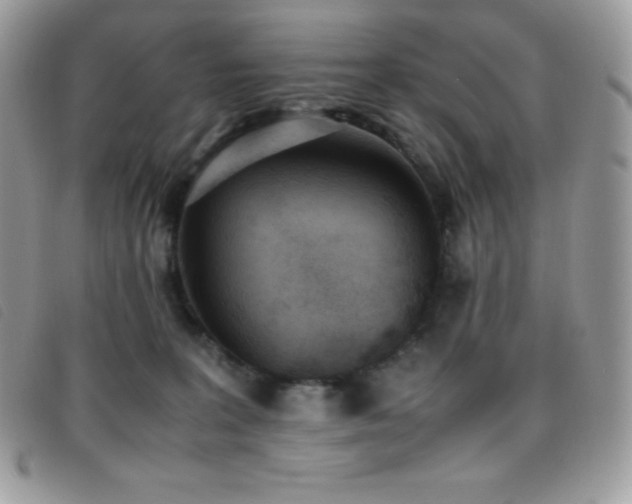 X0000095890227200801111202