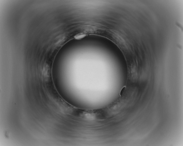 X0000095890228200801111202