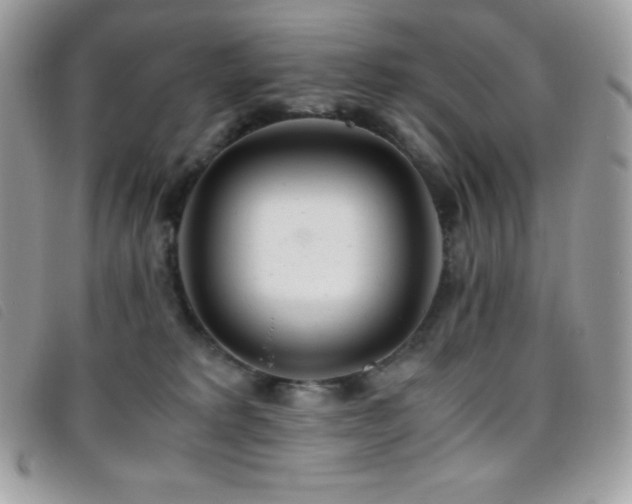 X0000095890229200801111202