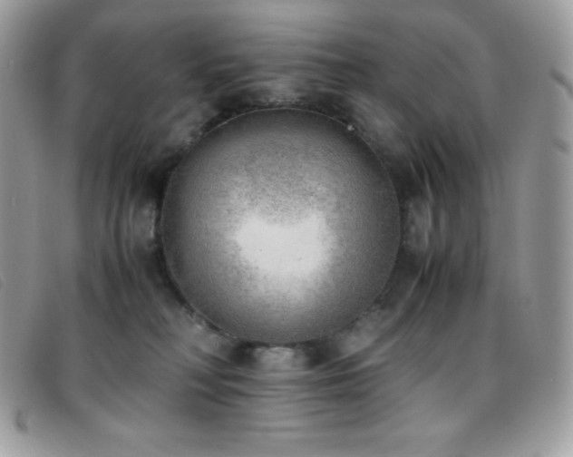 X0000095890230200801111202