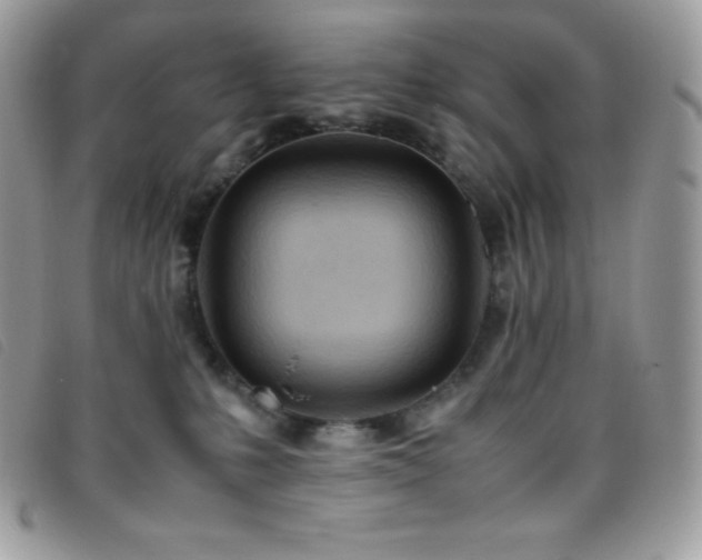 X0000095890231200801111202