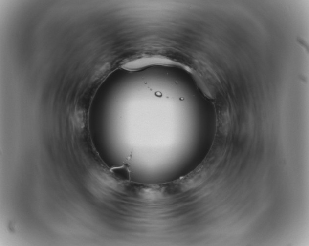 X0000095890232200801111202