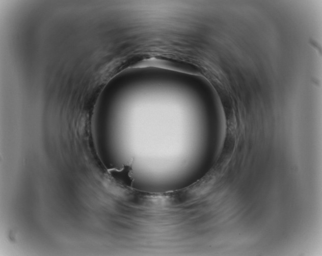 X0000095890233200801111202