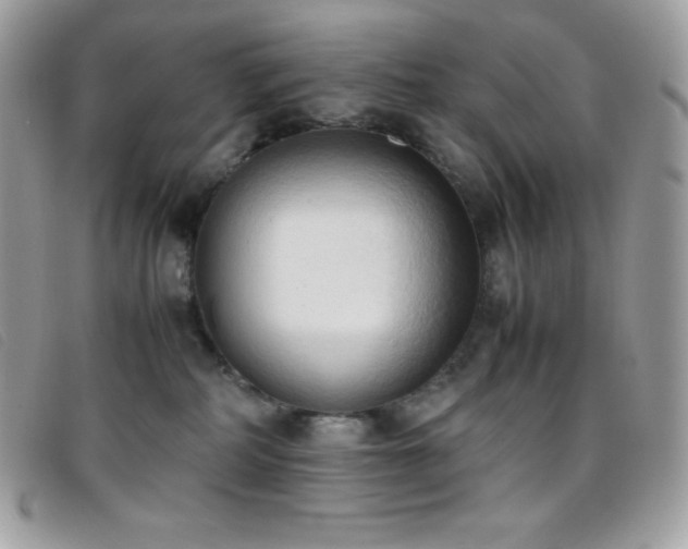 X0000095890234200801111202