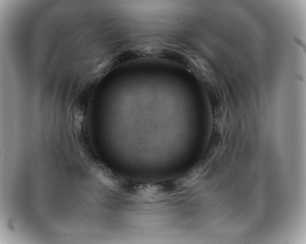 X0000095890235200801111202