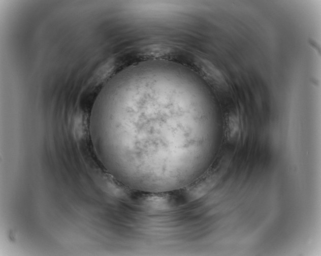 X0000095890236200801111202