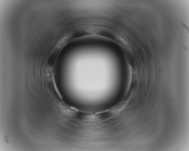 X0000095890237200801111202