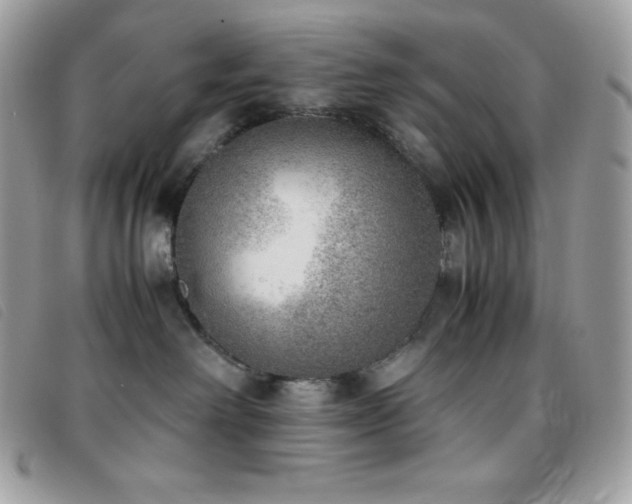 X0000095890238200801111202