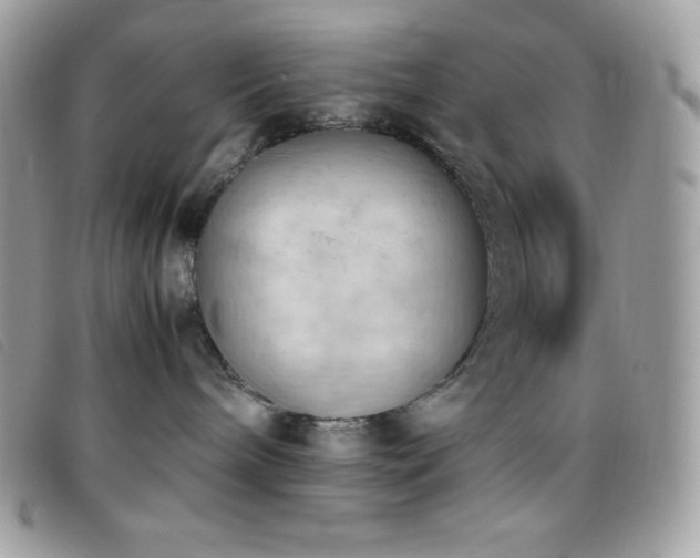 X0000095890240200801111202