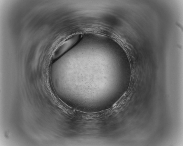 X0000095890241200801111201