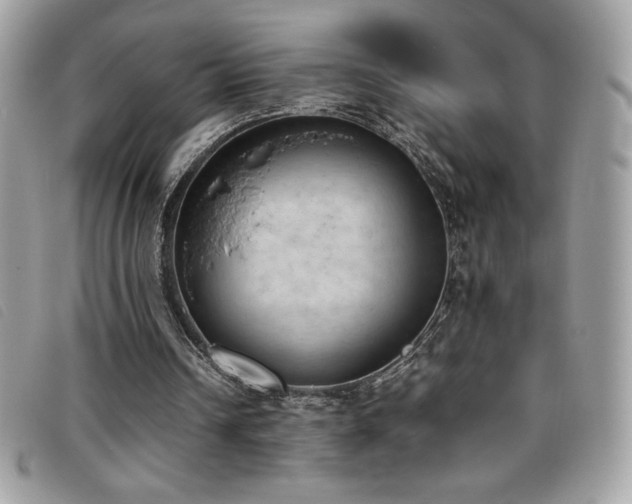 X0000095890242200801111201