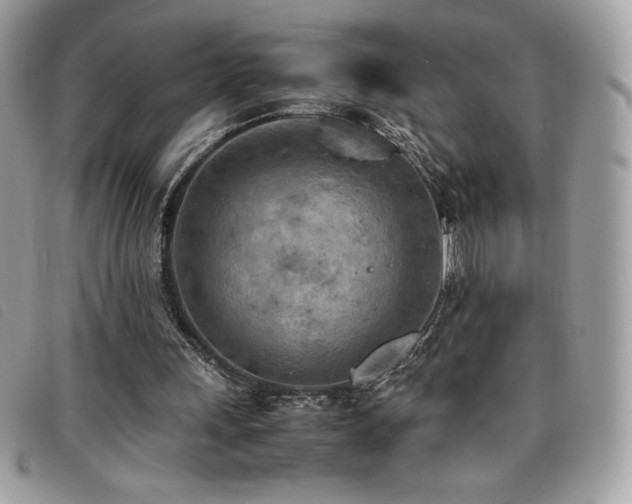 X0000095890243200801111201