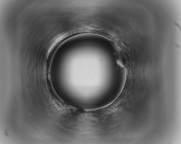 X0000095890244200801111201