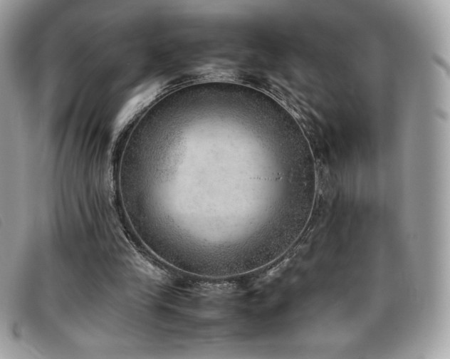 X0000095890245200801111201