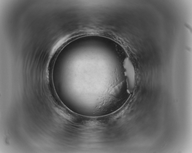 X0000095890246200801111201