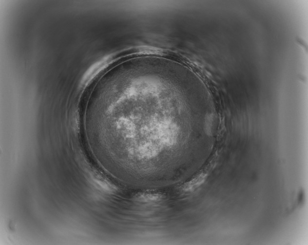 X0000095890247200801111201