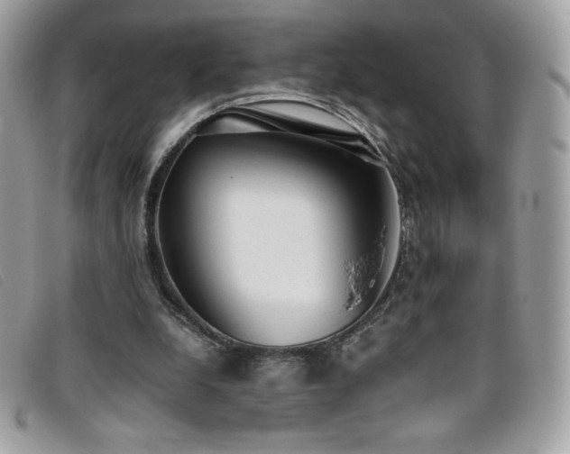 X0000095890248200801111201