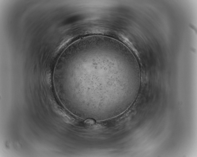 X0000095890249200801111201