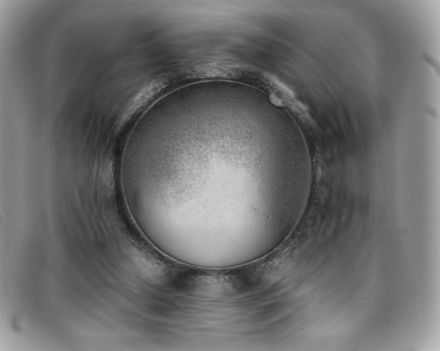X0000095890250200801111201