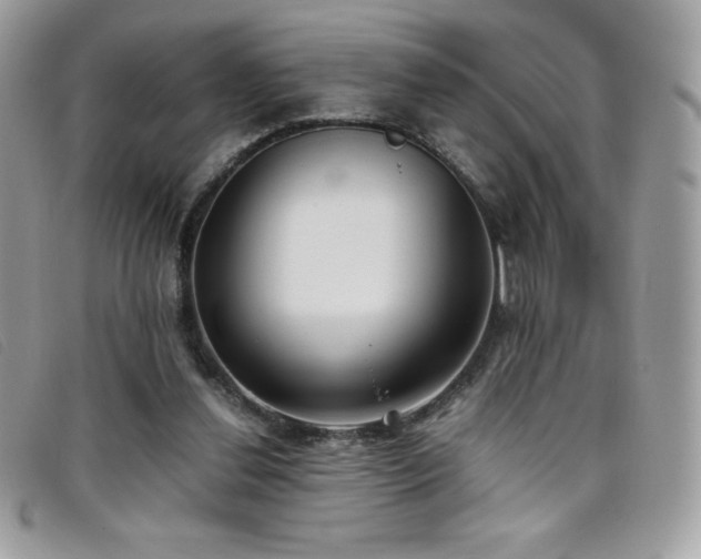 X0000095890252200801111202