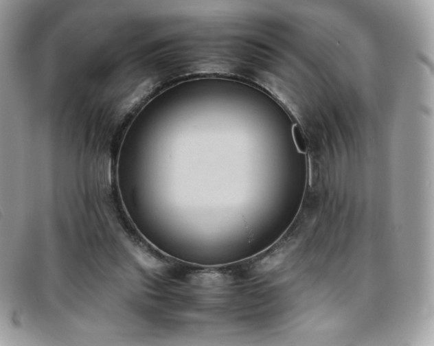 X0000095890253200801111202