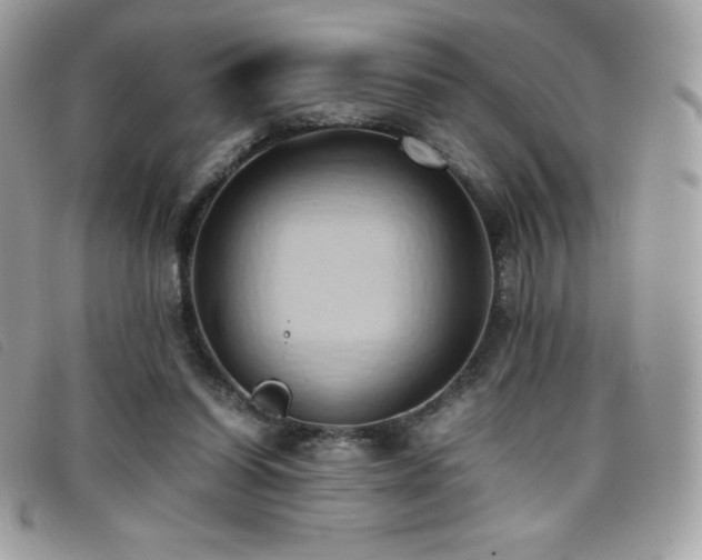 X0000095890254200801111202