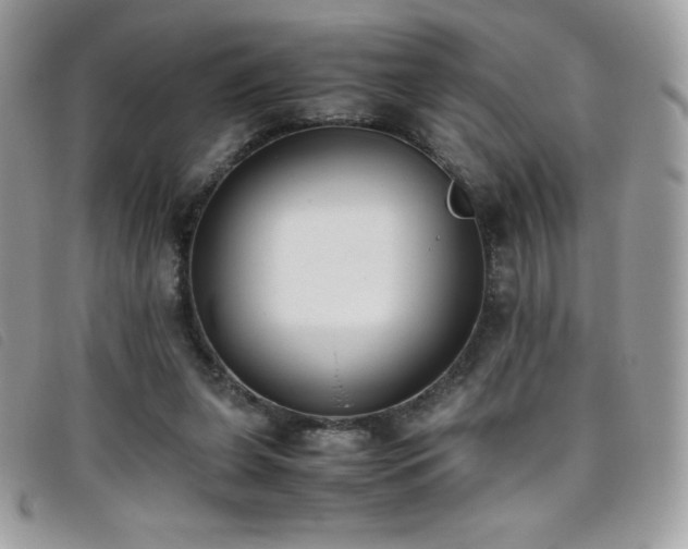X0000095890255200801111202