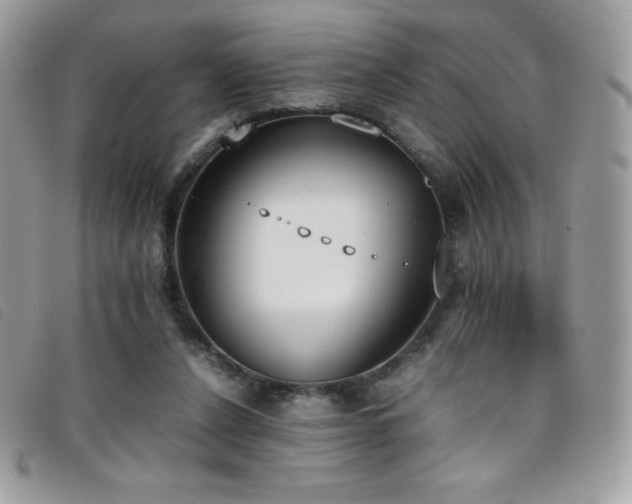 X0000095890256200801111202