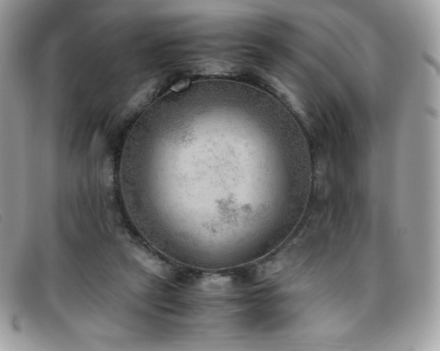 X0000095890257200801111202